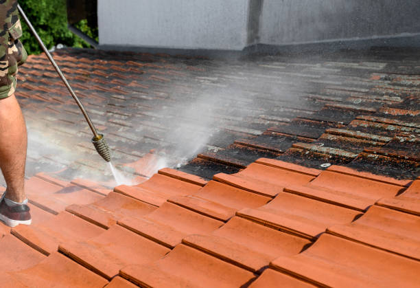 Best Deck Cleaning Services  in Artesia, CA