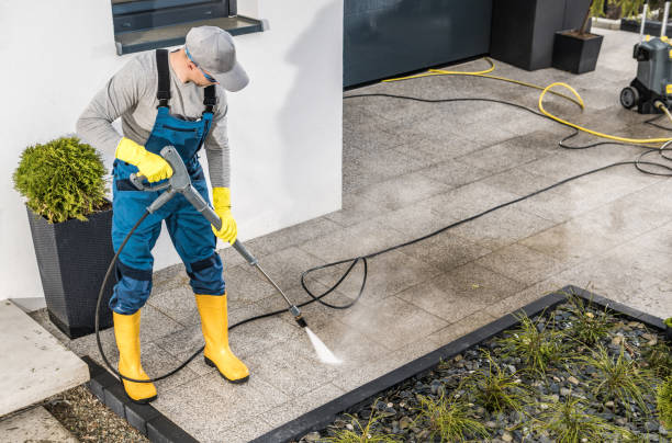 Best Roof Pressure Washing  in Artesia, CA