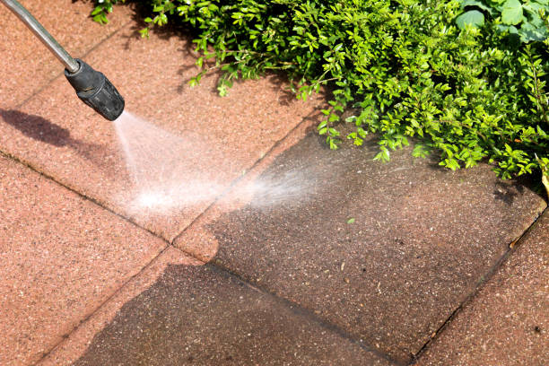 Best Residential Pressure Washing Services  in Artesia, CA